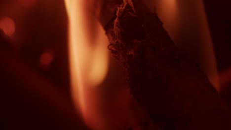 abstract macro shot of a fire in the forest