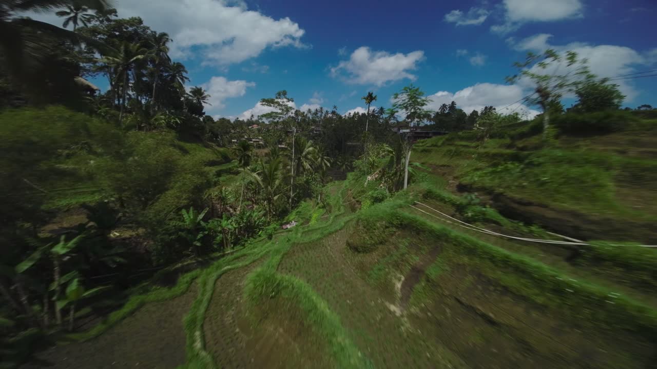 drone cinematográfico fpv de los campos de arroz y la terraza de tegalalang en bali, indonesia con espacio de copia
