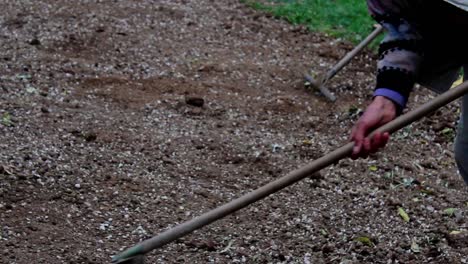 Planta-De-Trabajador-En-Equipo-En-El-Parque-3