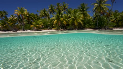 split shot, kamera taucht auf, halb über, halb unter wasser eines tropischen strandes in fakarva, dem zweitgrößten atoll in französisch-polynesien im südpazifik in zeitlupe