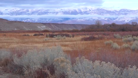 Good-establishing-winter-snow-on-the-White-Mountains-in-the-Eastern-Sierra-Nevada-mountains-near-Bishop-California