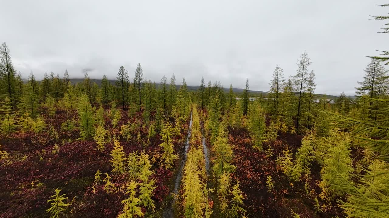 попробуйте спокойную красоту пышных лесов якутии и яркие осенние цвета, когда дрон скользит по потрясающей местности, фиксируя искусство природы.