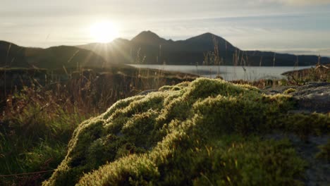 the sun creats a sunburst as it sets behind mountains with the sea in the background as golden light highlights a mossy rock in the foreground