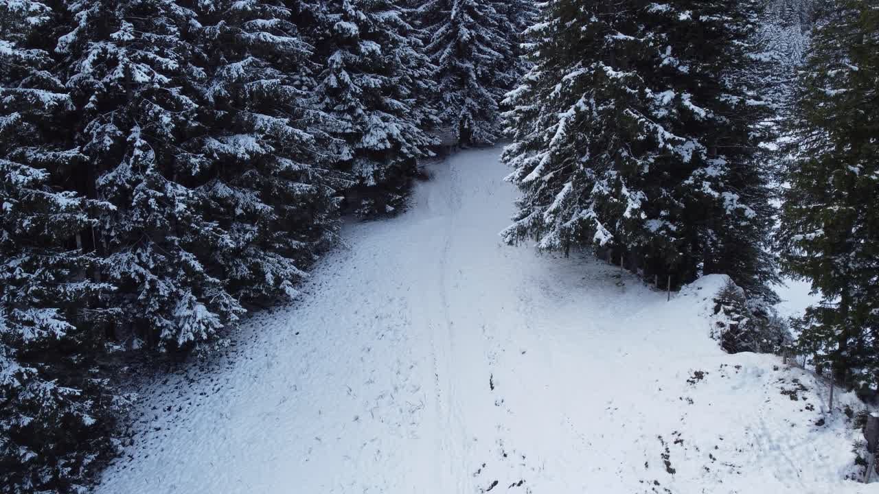 uomo che cammina verso un bosco innevato