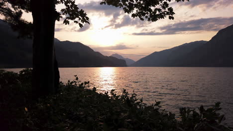 zeitlupe: sonnenuntergang am schweizer walensee mit bäumen im vordergrund, schweizer berge im hintergrund, gefüllt mit dem warmen licht der untergehenden sonne