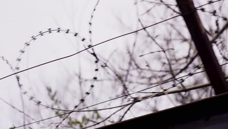 low angle dolly shot of razor barbed wire running along the top of a fence