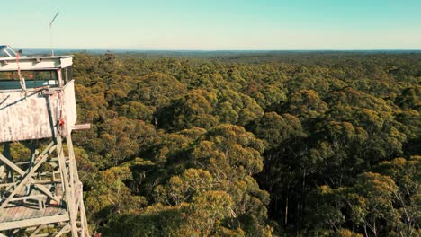 drone shot going backward revealing diamond tree fire lookout located at the top of a giant karri tree in western australia near pemberton