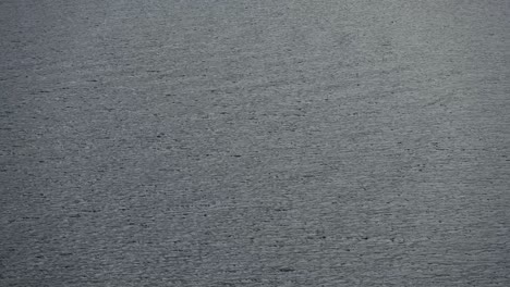 the water surface of ägeri lake in central switzerland on cold spring sunny day with the light wind.