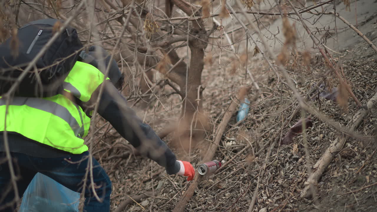Volunteer in safety vest picking up discarded soda can from forest floor with gloves during environmental cleanup, collecting litter in plastic bag to protect nature, reduce pollution