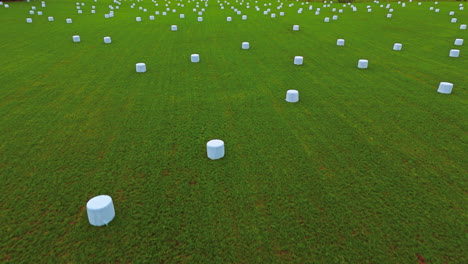Kürzlich-Geerntetes-Futter-Oder-Futter,-Eingewickelt-In-Weiße-Plastikballen,-Auf-Einer-Grünen-Wiese