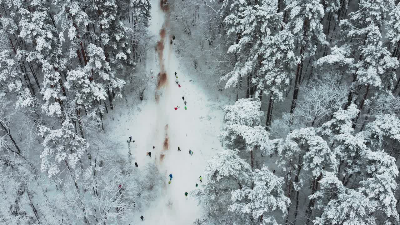 겨울 숲 한가운데 정상에서 조감도