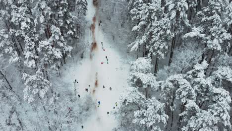 aerial view from the top in the middle of the winter forest