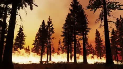 a dramatic scene of wildfire consuming a forest at dusk, illuminating the surrounding trees against a fiery sky and thick smoke