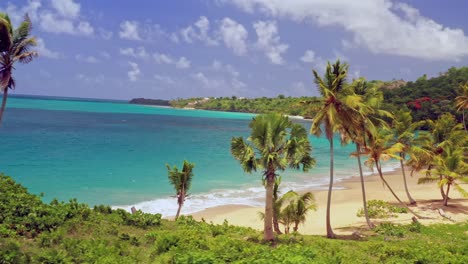 Toma-Aérea-En-órbita-De-La-Playa-Tropical-Vacía-Colorada-Con-Palmeras-Y-Aguas-Turquesas-Del-Mar-Caribe---Samaná,-República-Dominicana