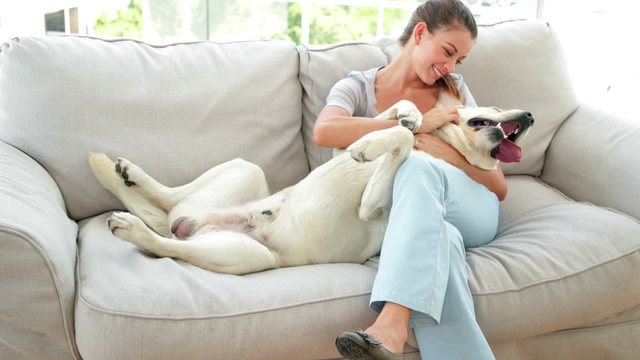 소파 에 있는 라브라도르 개 를  ⁇ 는 웃는 여자