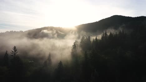 Cinematic-Aerial-View-of-Fog-Above-Coniferous-Forest-Under-Evening-Sun