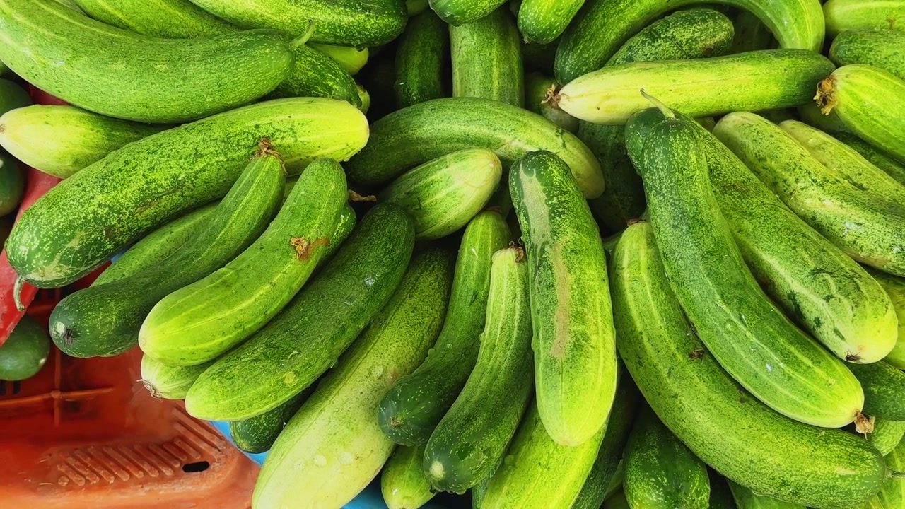 Toma de seguimiento suave que muestra una pila de pepinos recién cosechados en un mercado de verduras local, destacando la textura natural, la frescura y los productos agrícolas saludables.