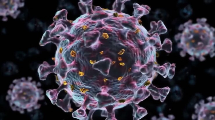 Microscopic Analysis of Viral Particles: Detailed Visualization of a Virus Exhibiting Unique Structural Features and Surface Proteins