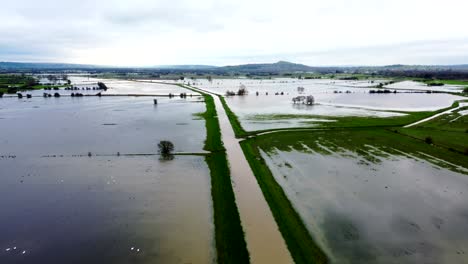 flooded fields through somerset levels, england