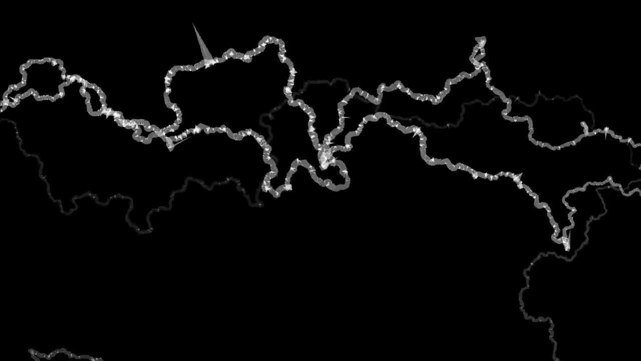 Linee di contorno bianche di energia elettrica che si muovono su sfondo nero, loop di animazione 3D senza soluzione di continuità
