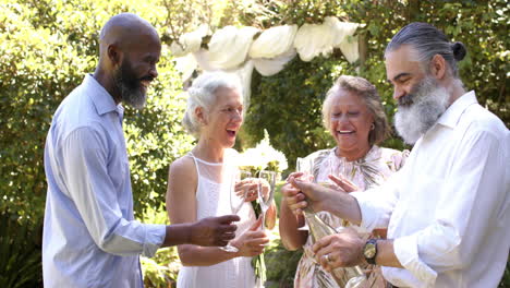 celebrating at outdoor wedding, senior friends toasting with champagne and smiling together