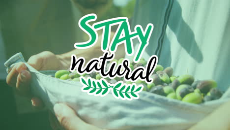 animation of stay natural text over caucasian man picking fruit