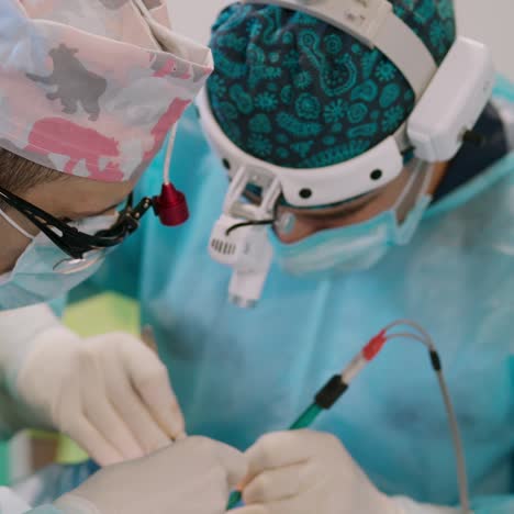 surgeons' work in clinic. medical workers in special flashlights on head conduct an operation using surgical tools in the hospital. close-up.