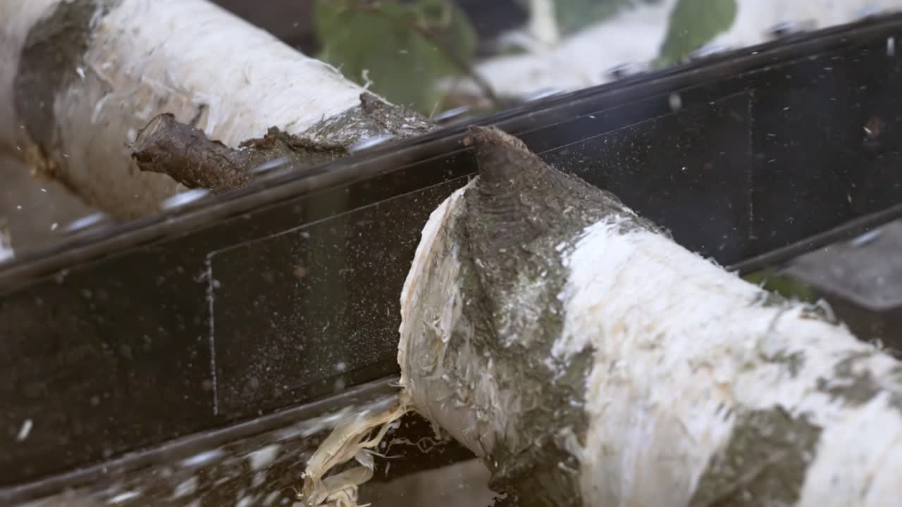 나무 는 사람은 에 있는 전기 체인 로 나무를 는다. 은 자유 낙하, 절단, 화재 휴식 및 연료 수확과 같은 활동에 사용된다. 슈퍼 슬로 모션 1000 fps로 촬영된다.