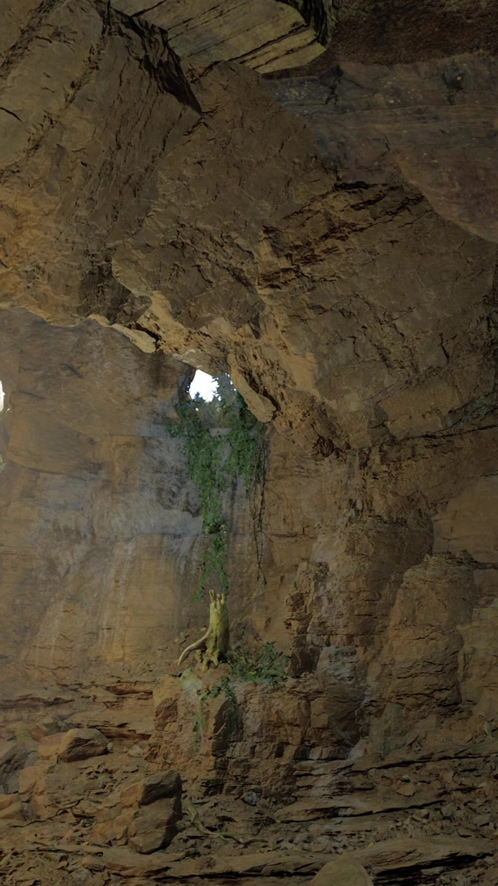 Grotta rocciosa con una piccola apertura e una pianta verde che cresce al suo interno.