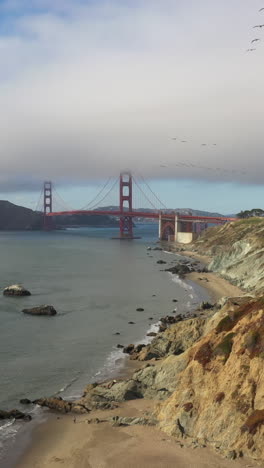 flock of birds flying over golden gate bridge with fog from baker beach in san francisco, california, usa. - aerial vertical shot