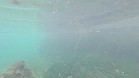 underwater river scene