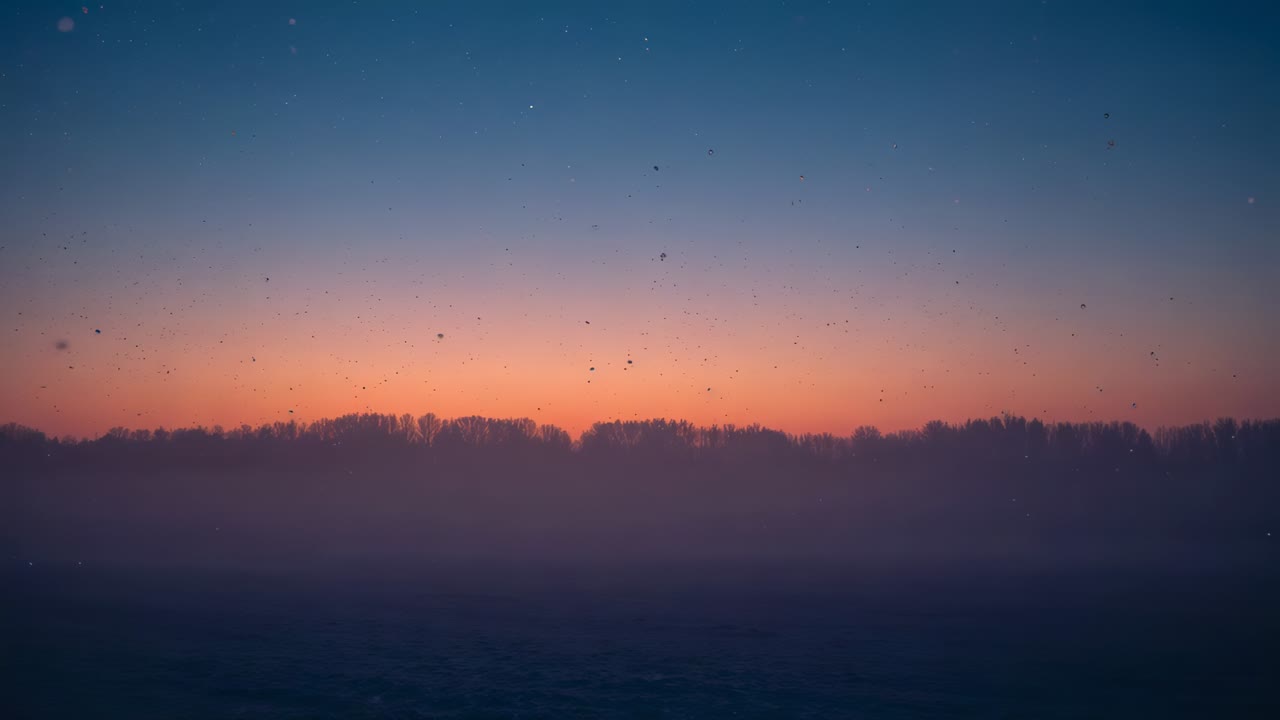 Shifting sky color above low treeline over flat field at sunrise, mist thickening and specks moving