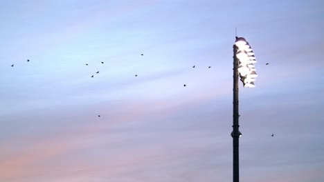 birds flying around a floodlight against a dusk sky, tranquil scene