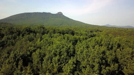 aerial shot of pilot mountain standing in the distance