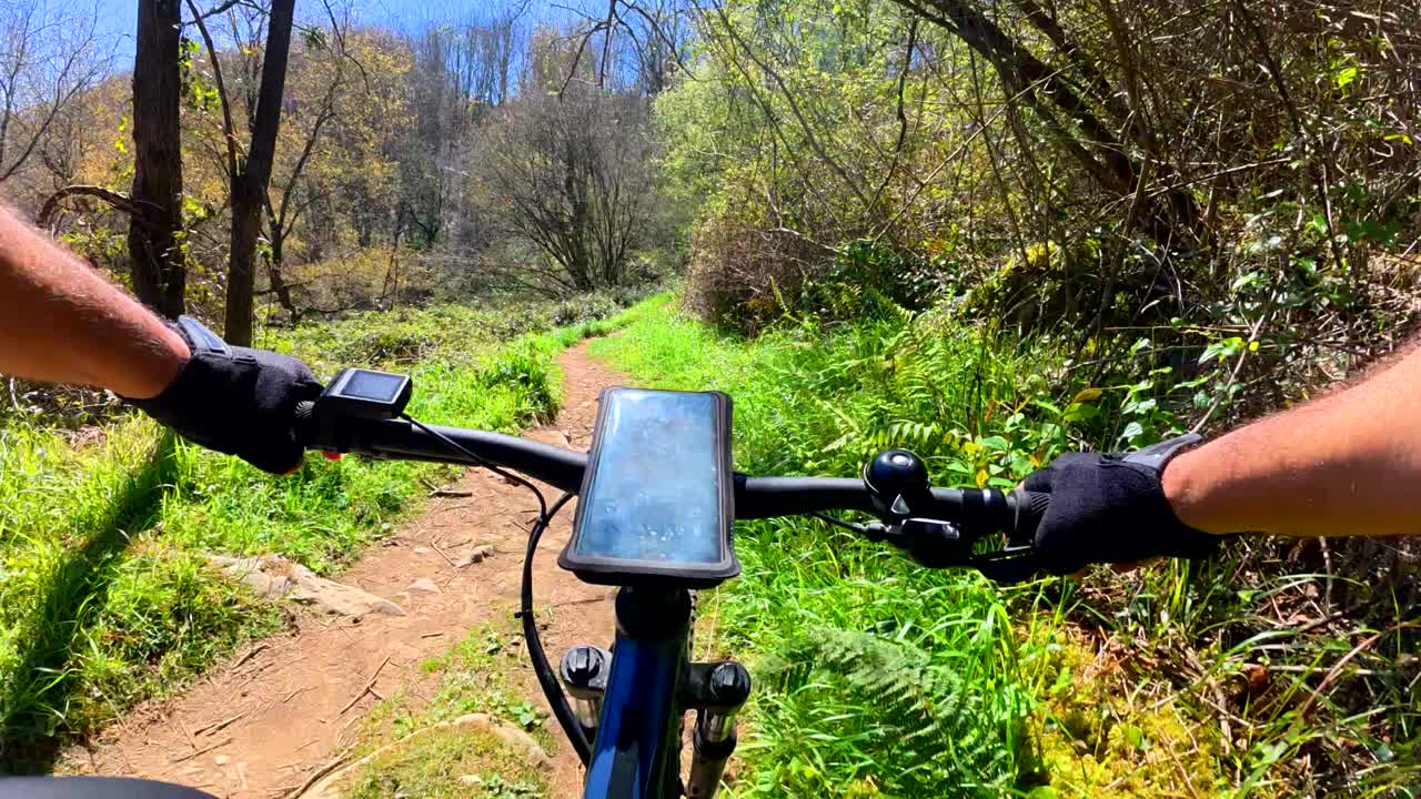 Mountain Biking on a Forest Trail