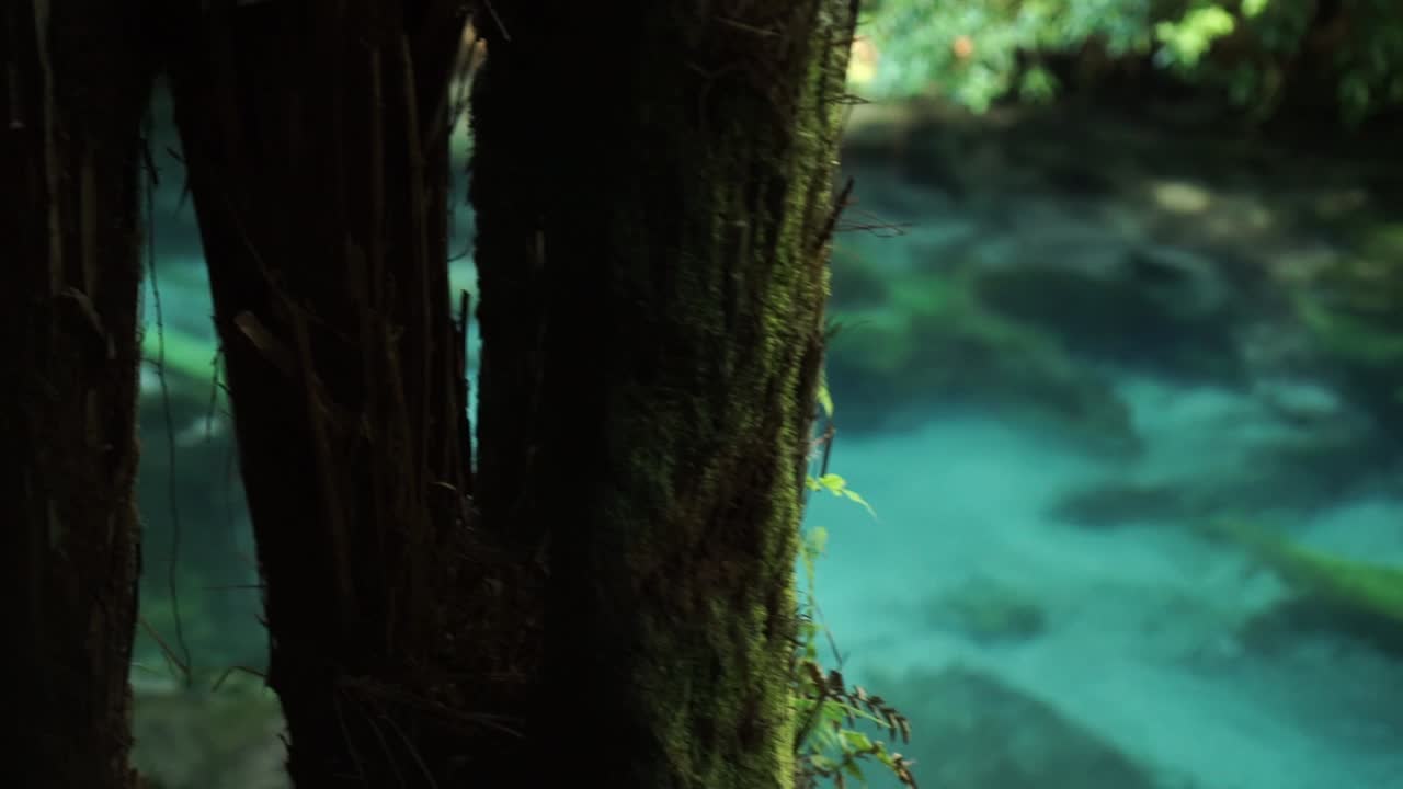 SLOWMO - Shot of slowly flowing pristine clear turquoise river Putaruru Blue Spring in New Zealand