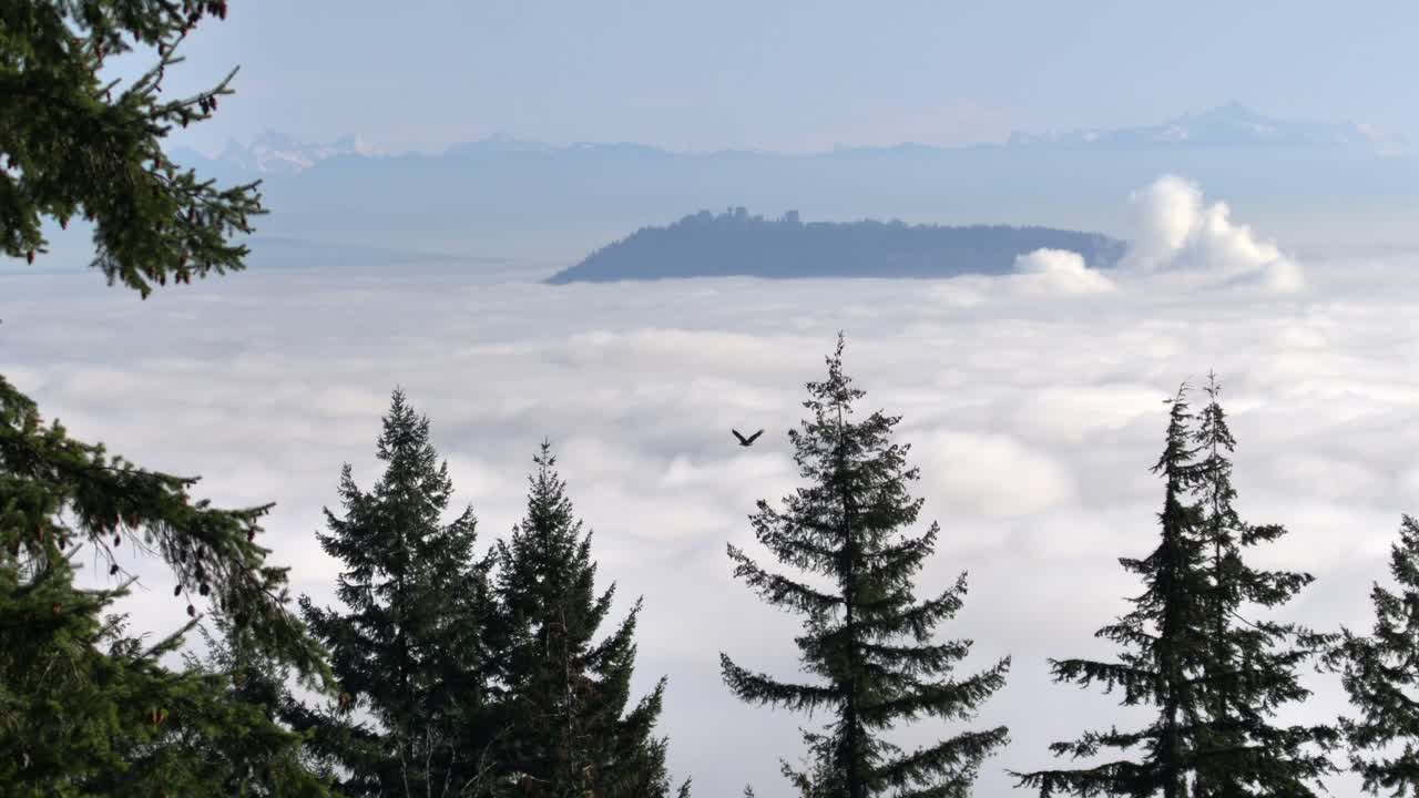 vista lejana desde la montaña de un pájaro volando sobre el mar de nubes