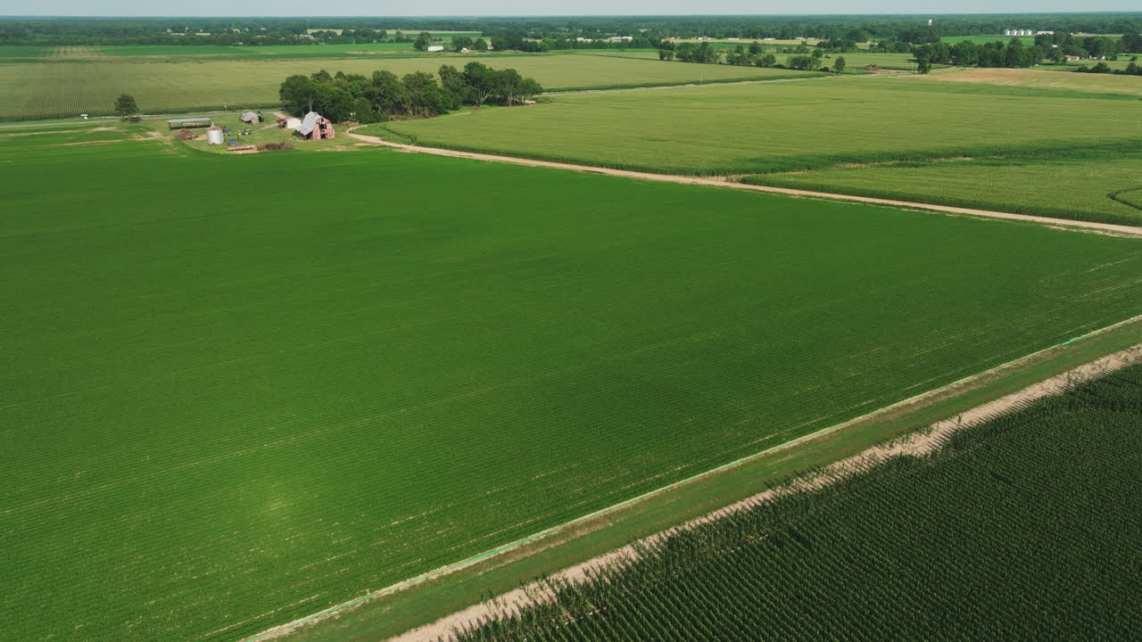 Vista aerea di una piantagione di mais e di una rigogliosa prateria verde di giorno.