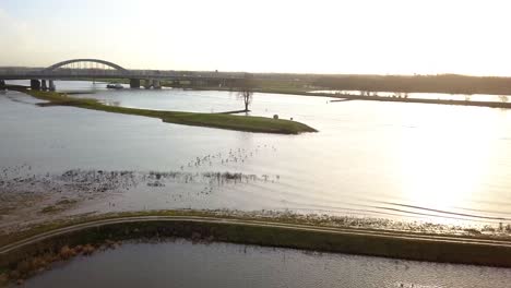 Imágenes-De-Drones-Del-Río-O-Lago-Con-Pájaros-Voladores