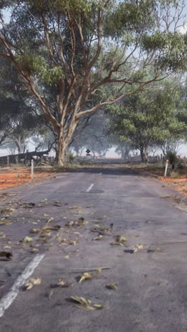 a long, straight road through the australian outback