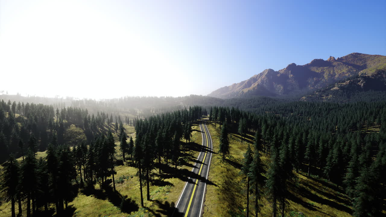 Scenic mountain road surrounded by lush forests under a clear sky