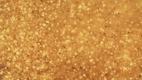 abstract golden particles with blurred defocused bokeh moves chaos, snow flakes