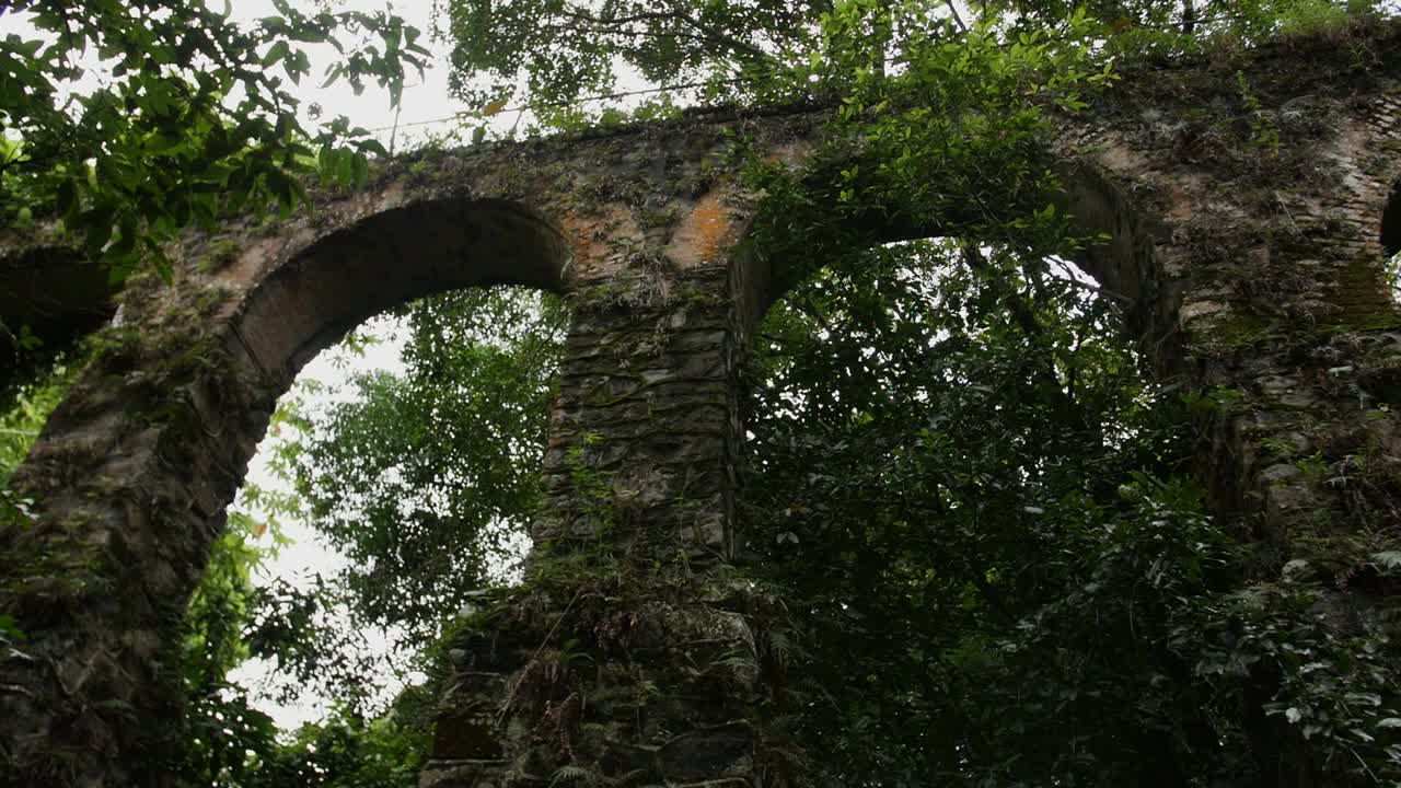 Old bridge in the Brazilian rain forest
