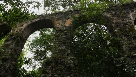 old bridge in the brazilian rain forest