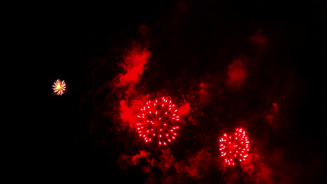 hermosa celebración abstracto colorido espectáculo de fuegos artificiales en el fondo de la noche