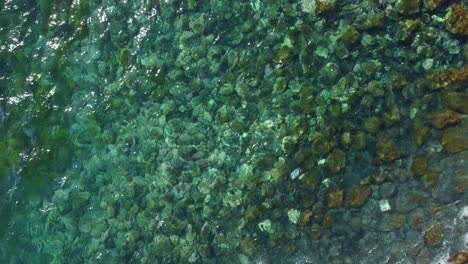 top view of crystal clear emerald sea water in tenerife, paradisiac background