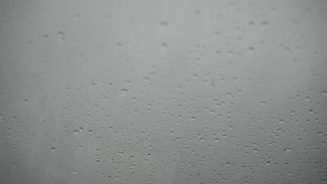 raindrops on the windshield