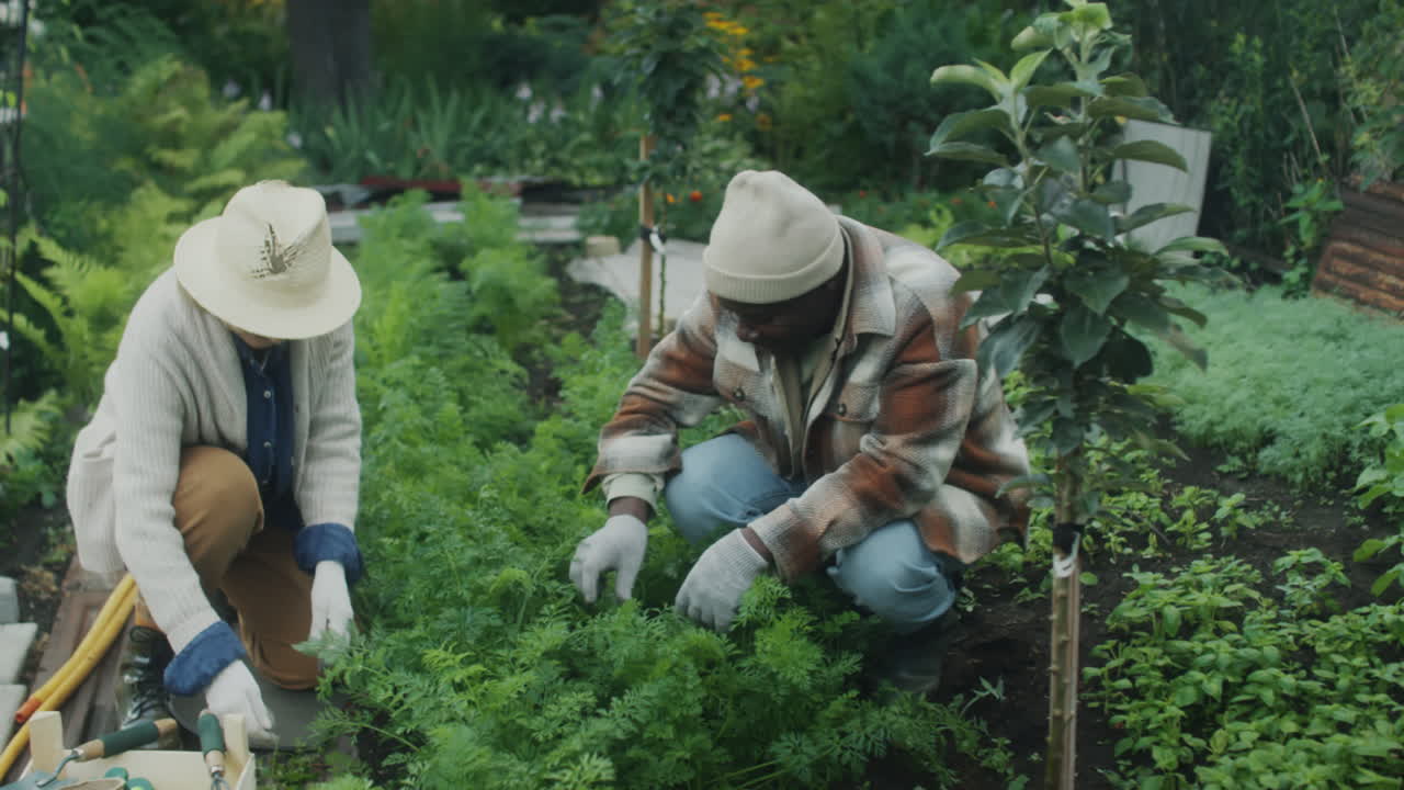 Two People Gardening Together in a Green Outdoor Space