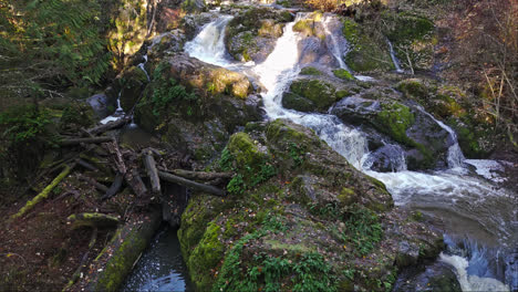 Video-De-4k-De-Un-Río-Pacífico-En-El-Noroeste-Pacífico-De-América