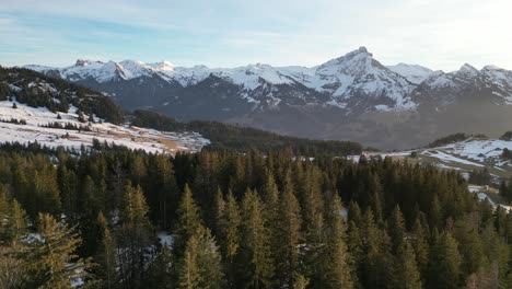 Amden-Weesen-Schweiz-Immergrüner-Wald-Mit-Schneebedeckten-Bergen-Im-Hintergrund